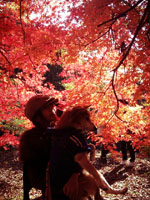 紅葉の中にお邪魔します。