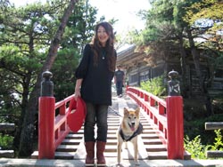 愛犬と一緒に松島観光中。