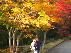 紅葉がきれいな那須高原！