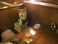 小型犬じゃないけど、入れてくれてありがとう♪おとなしくしてます。